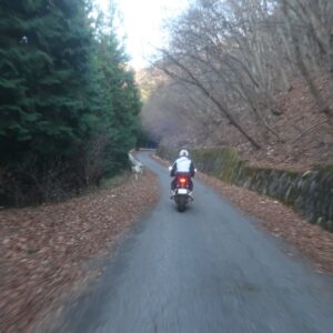 林道太田部峠線を走る⑥