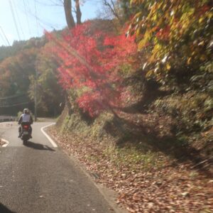 秋の奥久慈パノラマラインで紅葉を眺めて走る②