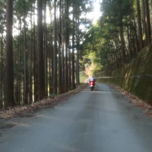 林道太田部峠線を走る②