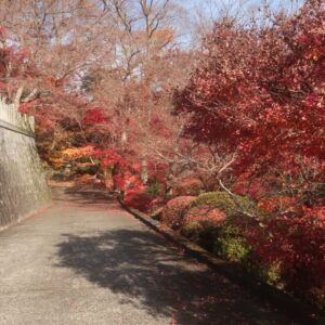 永源寺もみじ寺の紅い参道を登る