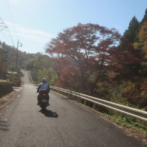 紅葉が混ざるオープンな奥久慈パノラマラインを走る