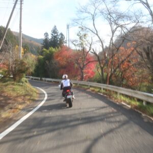 茨城r32を北上、里山風景を走る②