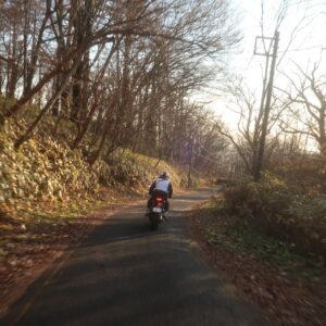 八溝山頂から林道的ロードを走る