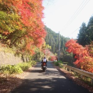 秋の奥久慈パノラマラインで紅葉を眺めて走る