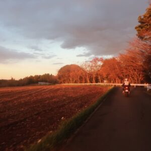 長生き展望台への登り道