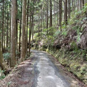 和歌山r43の険道風景