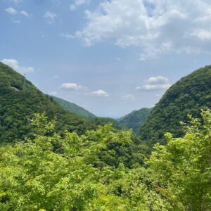 新緑の深山湖ダム下流側の風景