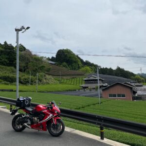和束町の茶畑にてwith CBR650R