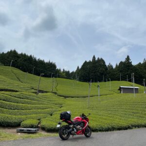 和束町の茶畑にてwith CBR650R④