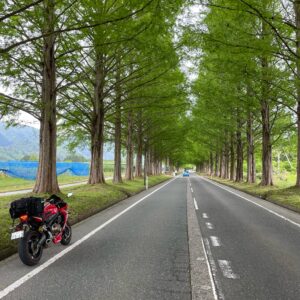 新緑のメタセコイア並木にてwith CBR650R