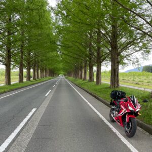 新緑のメタセコイア並木にてwith CBR650R②