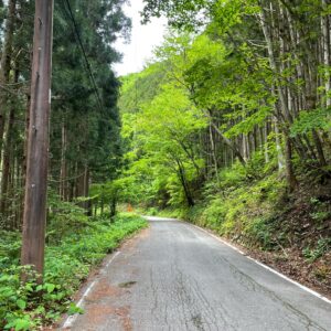 新緑の栃木r249を走る②