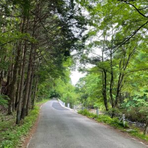 新緑の栃木r249を走る⑤