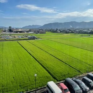 ホテルルートイン武生インターの部屋から眺めた緑の田園風景