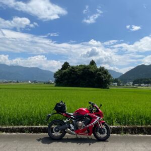 越前・大野市郊外の緑が眩しい田んぼのトトロ「山伏岩」にてwith CBR650R