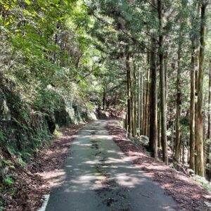 険道の岐阜r328を走る