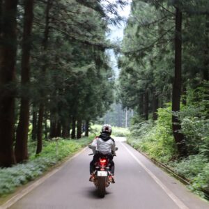 樹海ライン／R352の枝折峠から魚沼市街地を目指す⑤