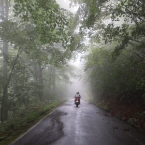 雨上がりの樹海ライン／R352を走るchizuo⑤