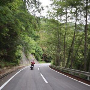 山梨県道219号線を走るchizuo