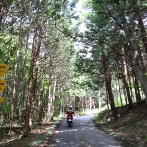 林道菱山深沢線を走る②