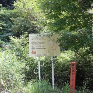 林道菱山深沢線を走る