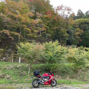 御霊もみじ(御霊神社)の駐車場にて
