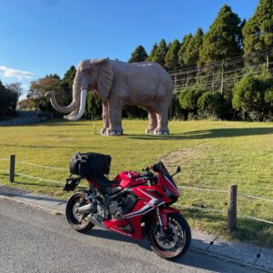 アフリカンサファリのマンモス像with CBR650R