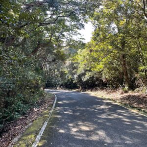 川内峠へ山道を登る