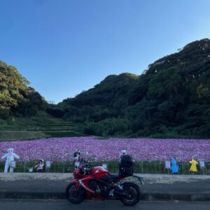 北松やまびこロード沿いのコスモス園にてwith CBR650R