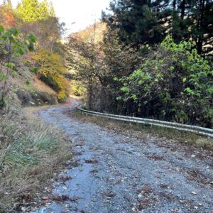 舗装がダートがわかりにくい悪路状況の落ち葉に御荷鉾スーパー林道を走る