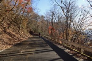 御荷鉾スーパー林道の舗装エリアにて