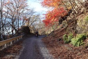 御荷鉾スーパー林道の一点の紅葉と
