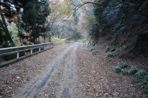 落ち葉に埋もれ気味の御荷鉾スーパー林道を走る