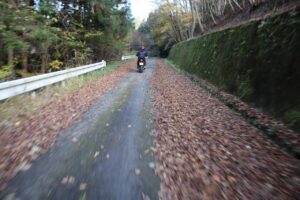 落ち葉に埋もれ気味の御荷鉾スーパー林道を走る
