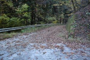 落ち葉に埋もれた御荷鉾スーパー林道を走る