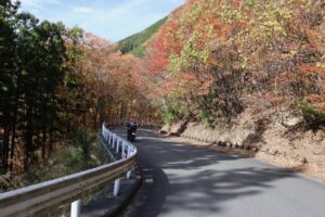 紅葉の林道西秩父線を走る