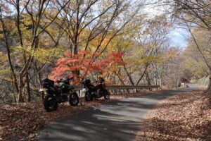 紅葉の林道西秩父線を走るwith NC750X & dトラ