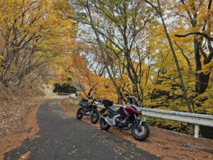 紅葉の林道西秩父線を走るwith NC750X & dトラ