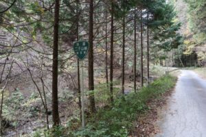 埼玉県道r282から林道二子山線を走る