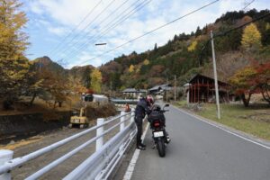 埼玉県道r282沿いの銀杏風景にて
