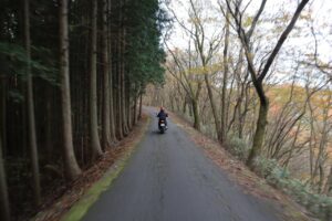 奥武蔵グリーンラインを走る