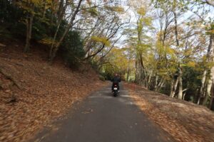 奥武蔵グリーンラインを走る