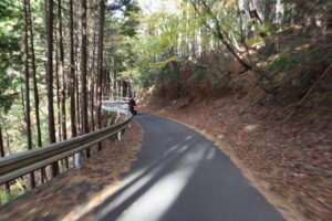 奥武蔵グリーンラインを走る