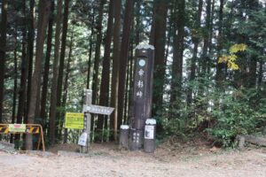 奥武蔵グリーンラインを走る