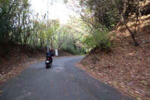 奥武蔵グリーンラインを走る