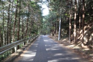 奥武蔵グリーンライン/林道権現堂線を走る