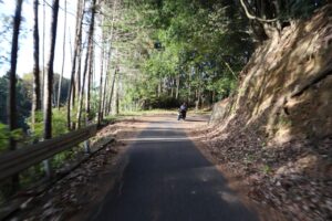 奥武蔵グリーンライン/林道権現堂線を走る