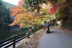 紅葉に染まった鎌北湖湖畔にて