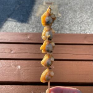 道の駅きょなんで焼きあさりを食す