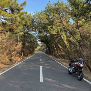 富津岬の林にてwith NC750X